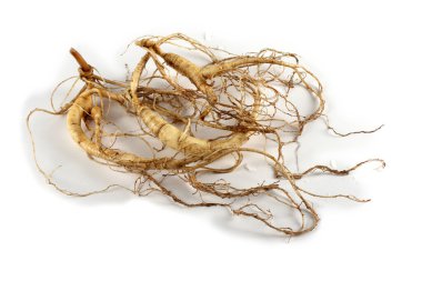 ginseng beyaz arkaplanda izole edildi