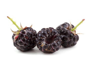 Three black raspberries Cumberland clipart