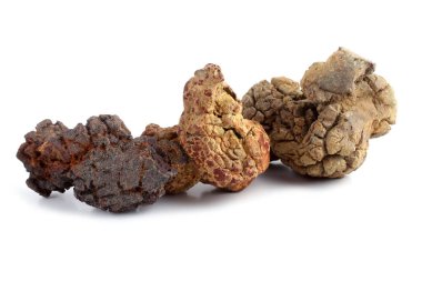 Antik dinozor dışkısı fosili