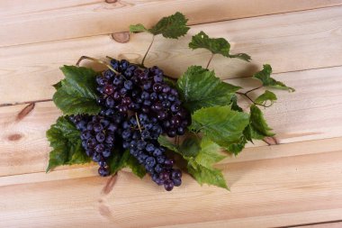 Masada siyah şarap üzümü