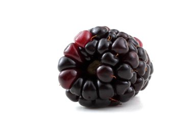 Beyaz arka planda yeşil yapraklı olgun böğürtlen