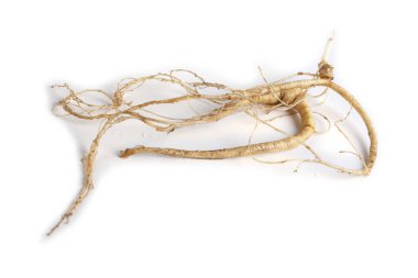ginseng beyaz arkaplanda izole edildi