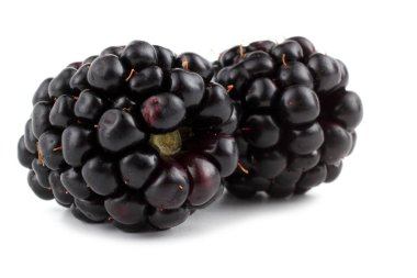 Beyaz arka planda yeşil yapraklı olgun böğürtlen