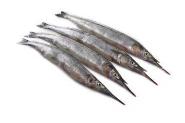 Garfish beyazda izole edilmiş.