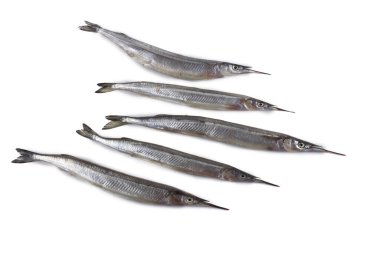 Garfish beyazda izole edilmiş.