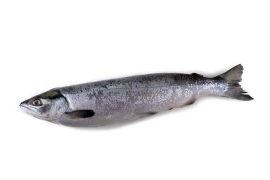 Char beyaz üzerine izole