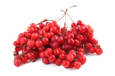 Schisandra Chinensis beyazı izole etti