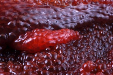 Pişmemiş kırmızı havyar arkaplanı