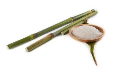 Şeker kamışı ve şeker beyaz üzerine izole