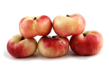 Düz şeftali (donut şeftalisi, donut şeftalisi, UFO şeftalisi, şeftali şeftalisi). Eski çin türü 