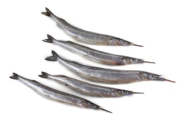 Garfish beyazda izole edilmiş.
