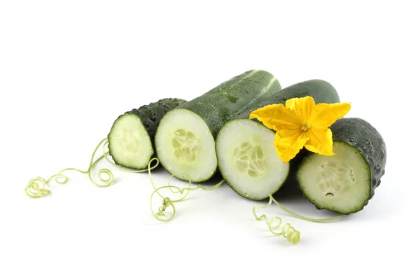 Komkommers Een Witte Achtergrond — Stockfoto