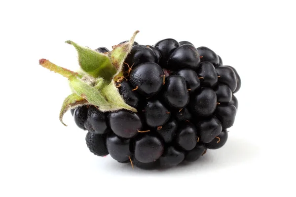 Frische Brombeerernte Nahaufnahme — Stockfoto