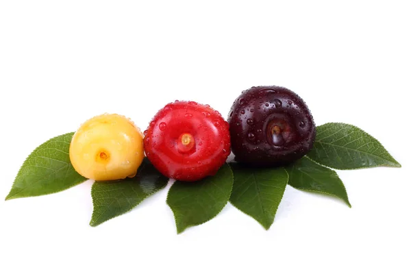 Cherries Isolated White Background — Stock Photo, Image