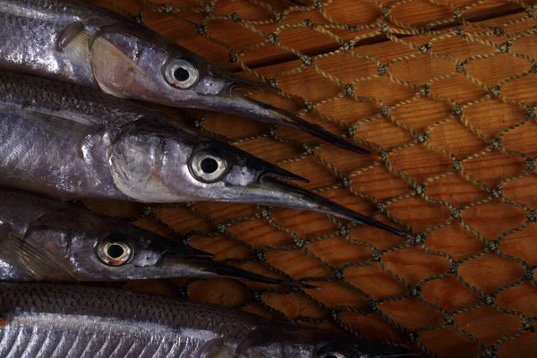 Garfish Síti Chytit — Stock fotografie