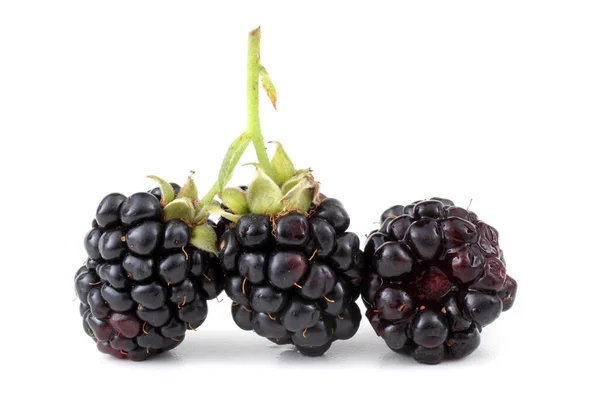 Ripe Blackberries White Background — Stock Photo, Image