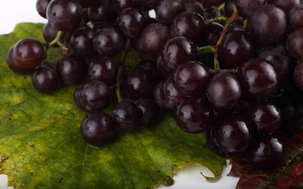 Raisins Frais Sur Les Feuilles Érable — Photo