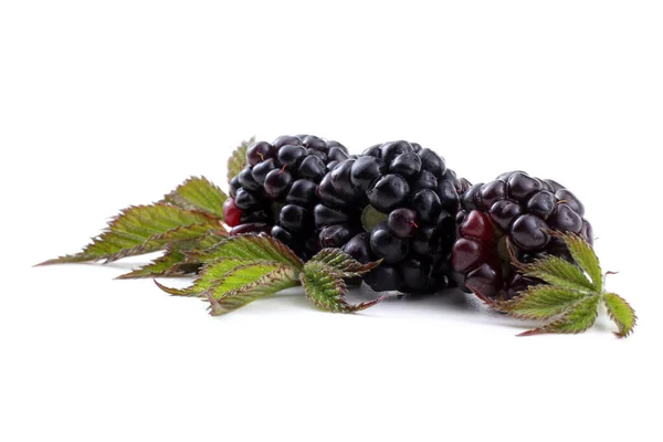 Brombeeren Auf Weißem Hintergrund — Stockfoto