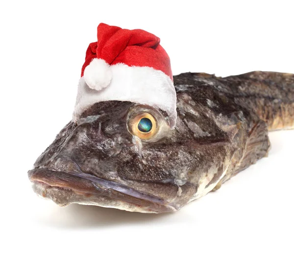 Funny Santa Monster Fish — Stock Photo, Image