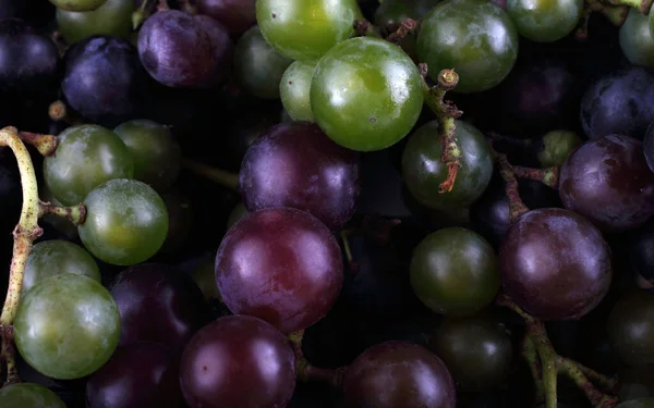 Uva Hojas Otoño — Foto de Stock