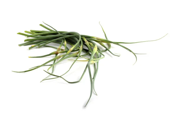 Knoblauchpfeile Isoliert Auf Weiß Die Fernöstliche Küche Verwendet Diese Pflanze — Stockfoto
