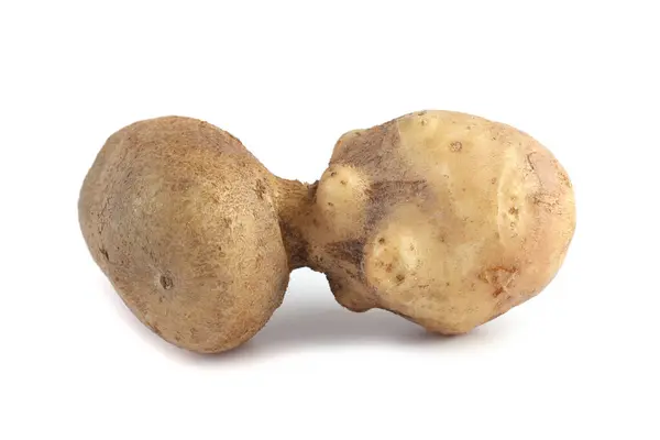 在白色上隔离的有趣的丑陋土豆 — 图库照片
