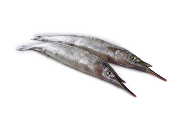 Garfish Isoliert Auf Weiß — Stockfoto