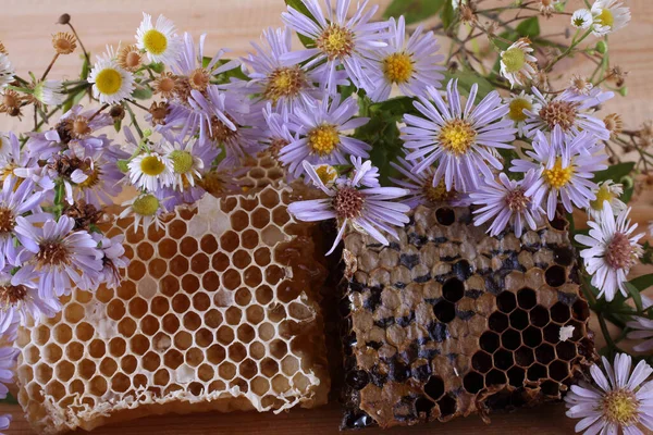 Frische Und Köstliche Bienenwaben — Stockfoto