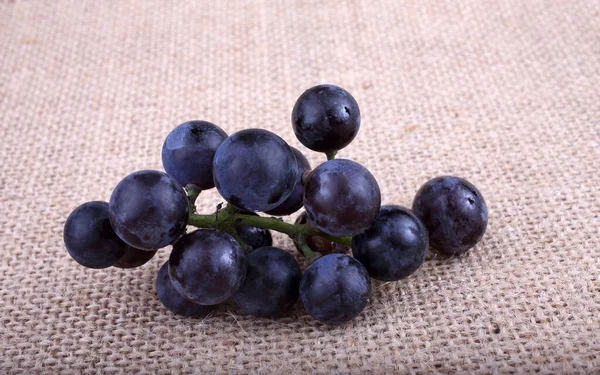 Grape Bagging Wine Grape Variety — Stock Photo, Image
