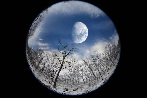 Fantastic fisheye landscape. Winter forest, Moon and Saturn