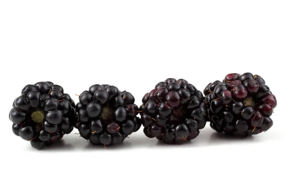 Blackberries White Background — Stock Photo, Image