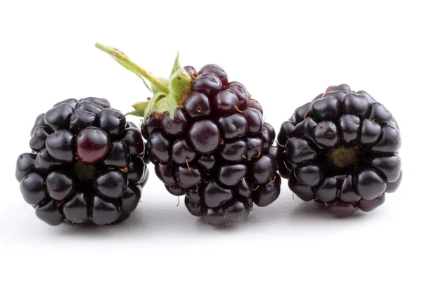 Frische Brombeerernte Nahaufnahme — Stockfoto