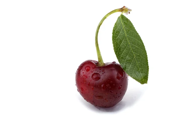 Cerises Isolées Sur Fond Blanc — Photo