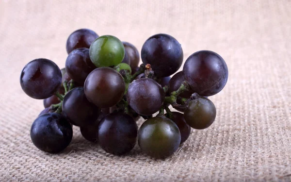 Grape Bagging Wine Grape Variety — Stock Photo, Image