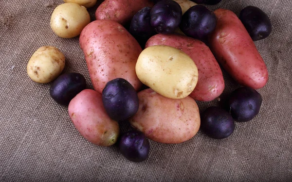 Fechar Colheita Batatas — Fotografia de Stock