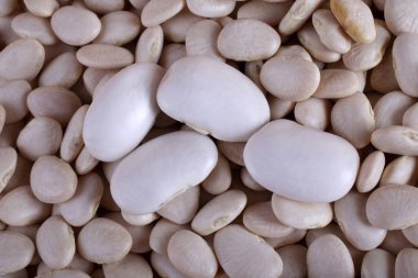 Taze fasulye yakın çekim