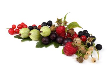 Olgun taze frenk üzümü hasadına yakın.