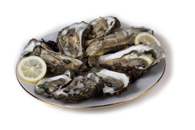 Beyaz tenli istiridye.