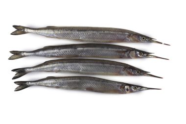 Garfish beyazda izole edilmiş.