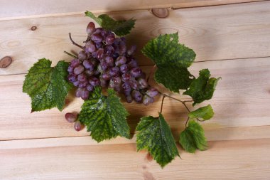 Masada üzüm var. Ülke biçimi