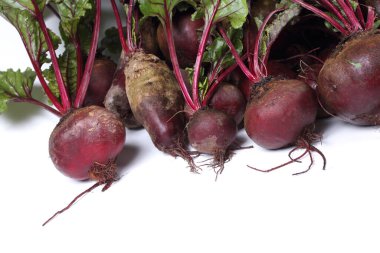 Taze pancar ve yeşil filizler.