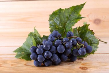 Masada siyah şarap üzümü