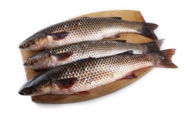 Beyaz üzerinde izole edilmiş Pelengas (So-iuy Mullet)