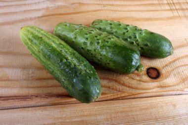 Salatalıklar masaya. Ülke biçimi