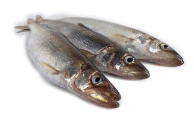 Gökkuşağı eritilmiş (Osmerus mordax) beyaz üzerine izole edilmiş