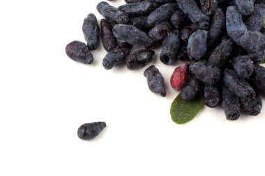 Böğürtlen beyazda izole