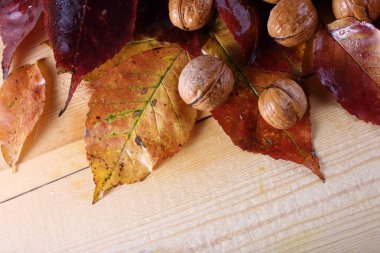 Ceviz ve sonbahar yaprakları masada.