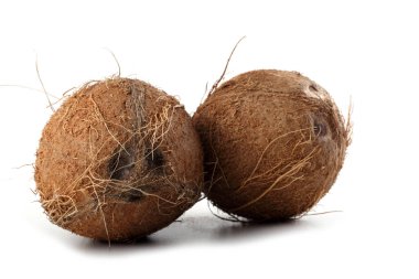 Beyaz arkaplanda taze hindistan cevizleri