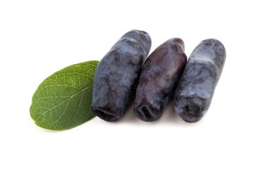 Böğürtlen beyazda izole