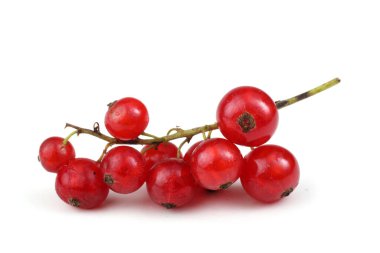 Beyaz arkaplanda kırmızı frenk üzümü var.